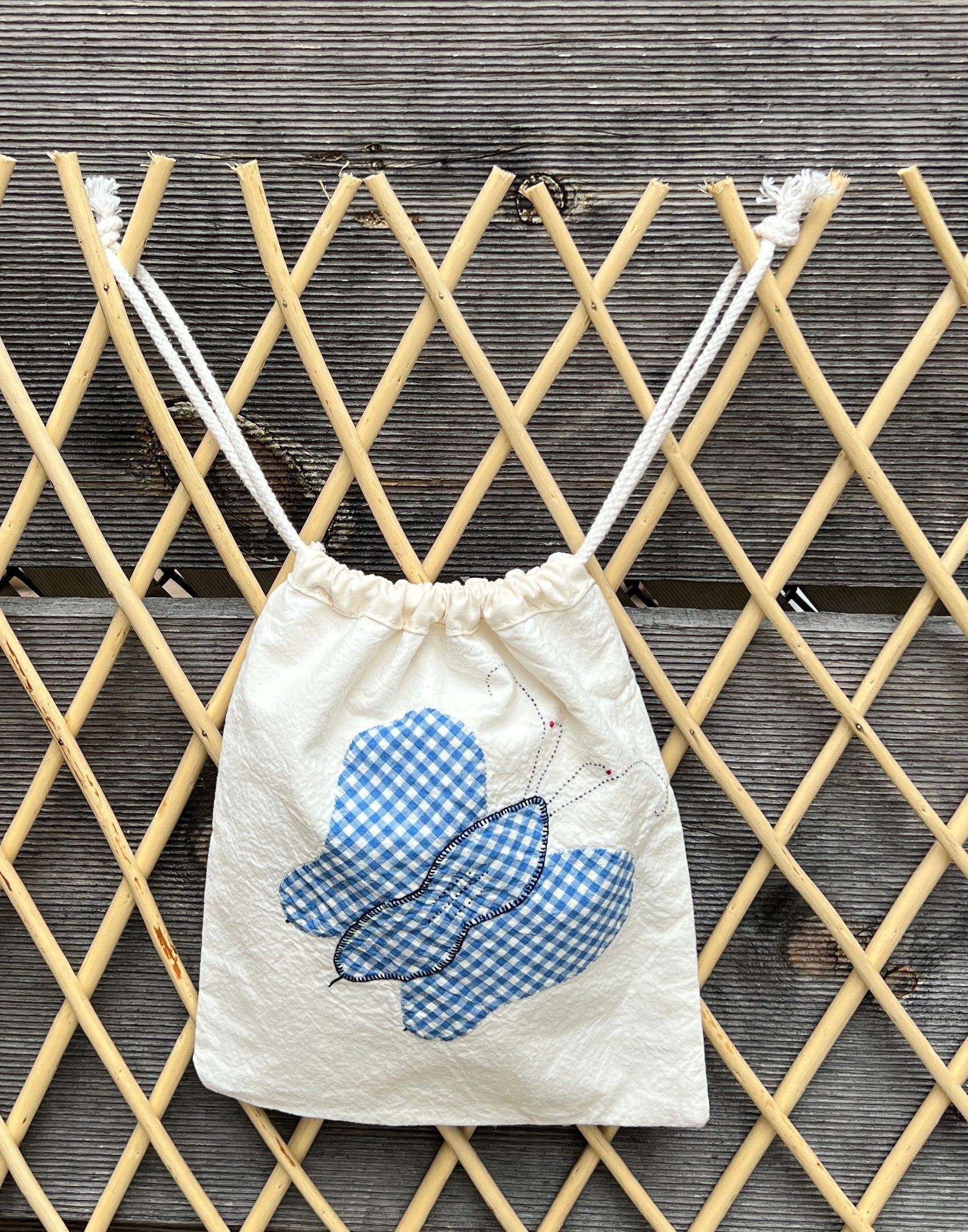 4 Antennae Butterfly Drawstring Bag (Teal Floral & Blue Gingham)