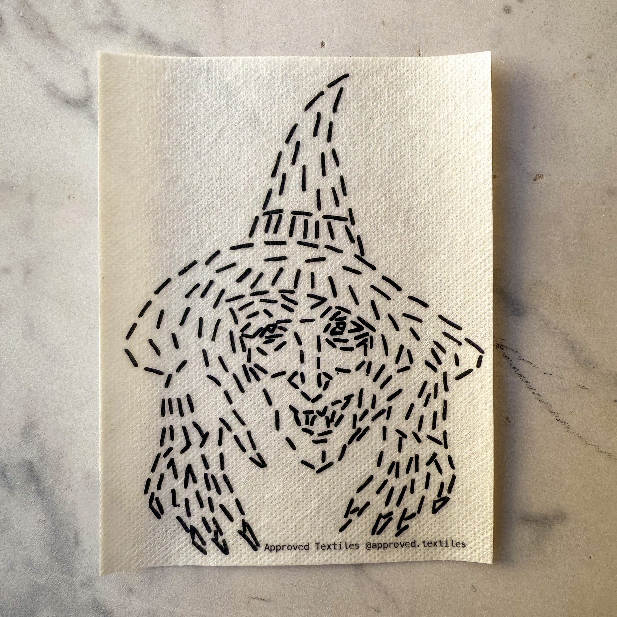 The Witches' Coven: Visible Mending Transfers