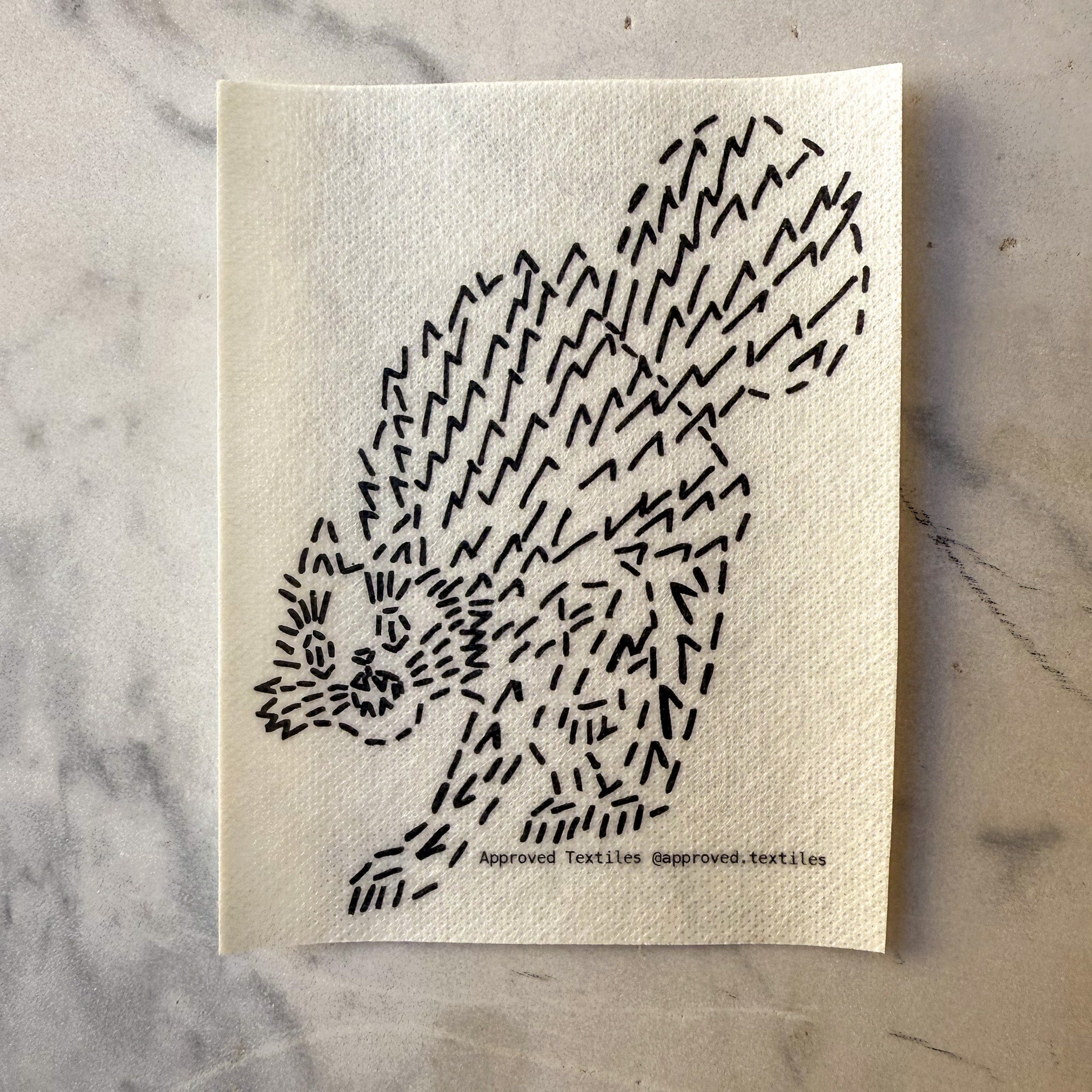 The Witches' Coven: Visible Mending Transfers