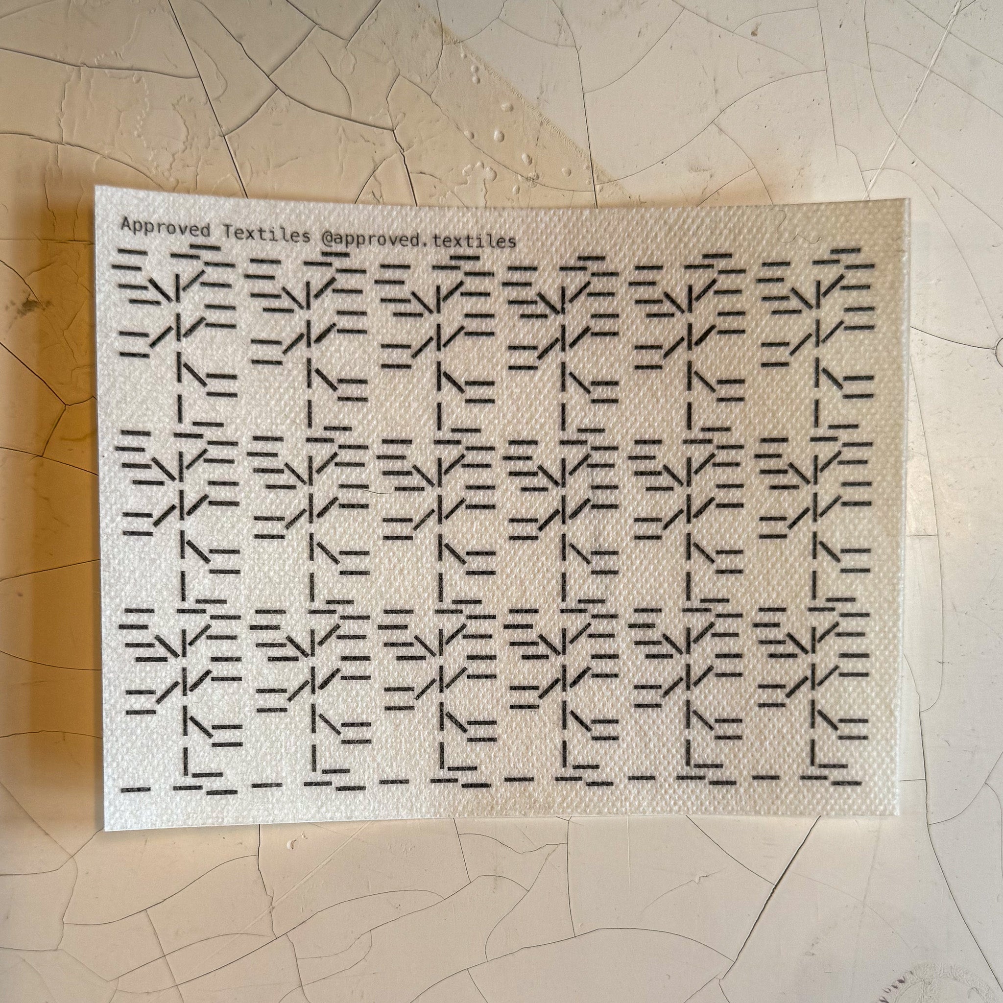 Desert Flora: Visible Mending Transfers