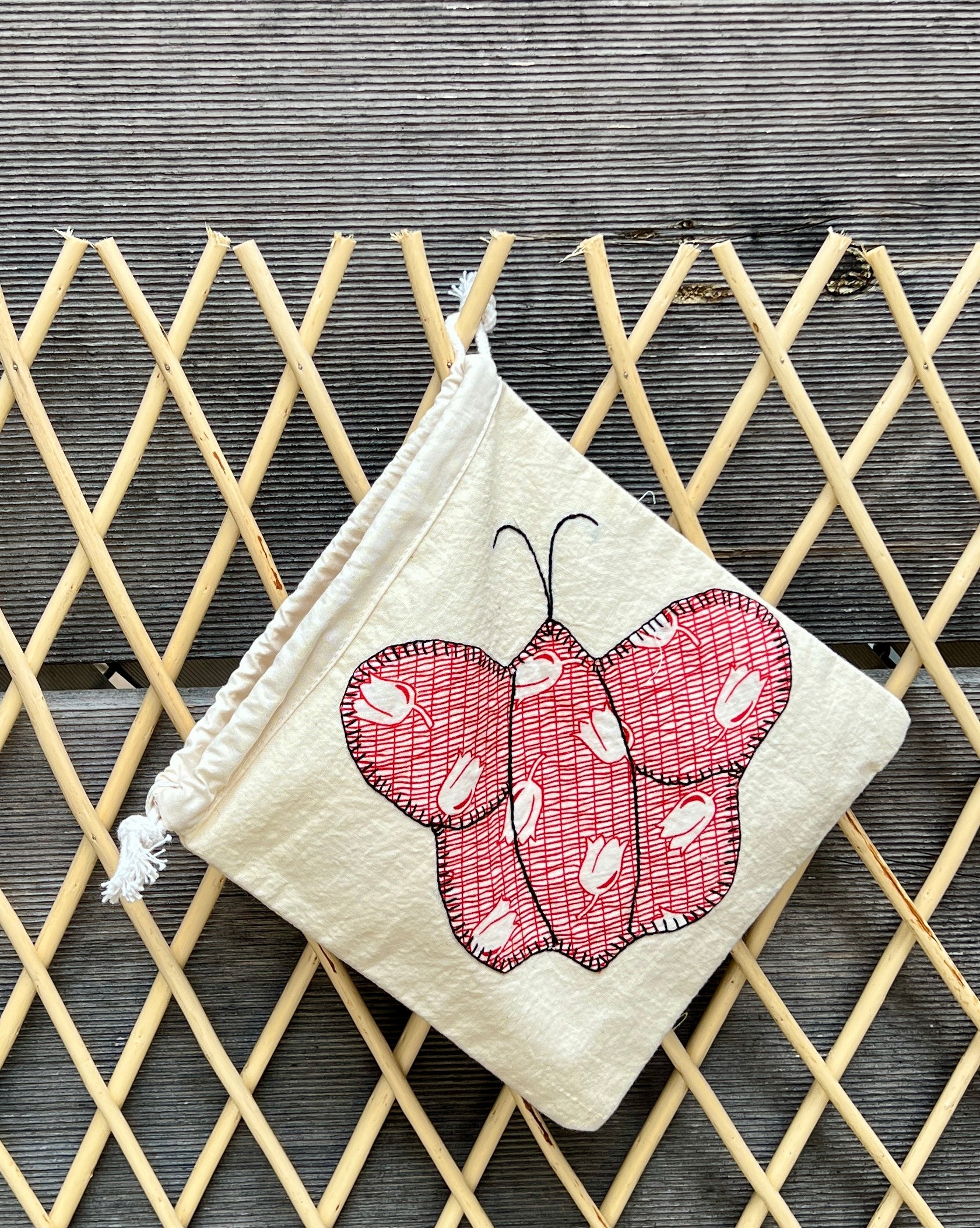 Butterfly Drawstring Bag (Green Dots & Red Floral)