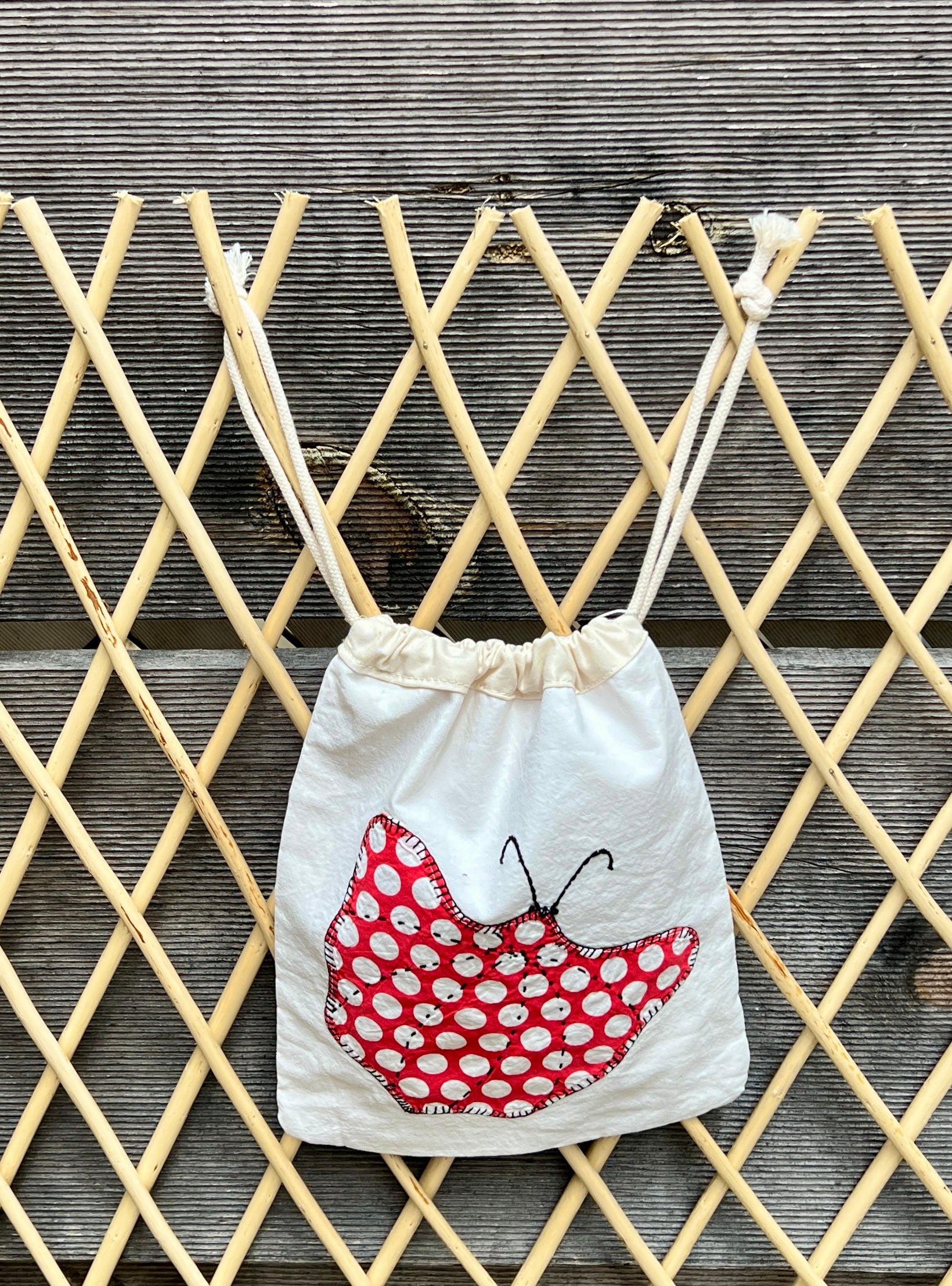 Moth Drawstring Bag (Red Dots & Peach w/Purple)